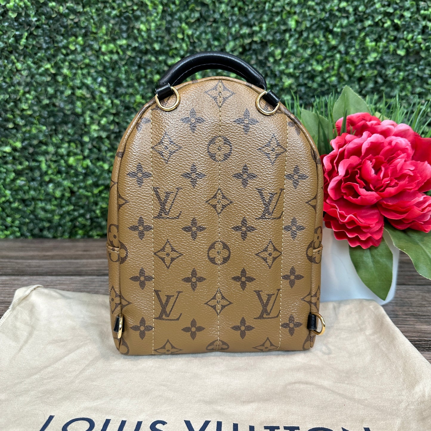 Louis Vuitton Reverse Palm Springs Mini