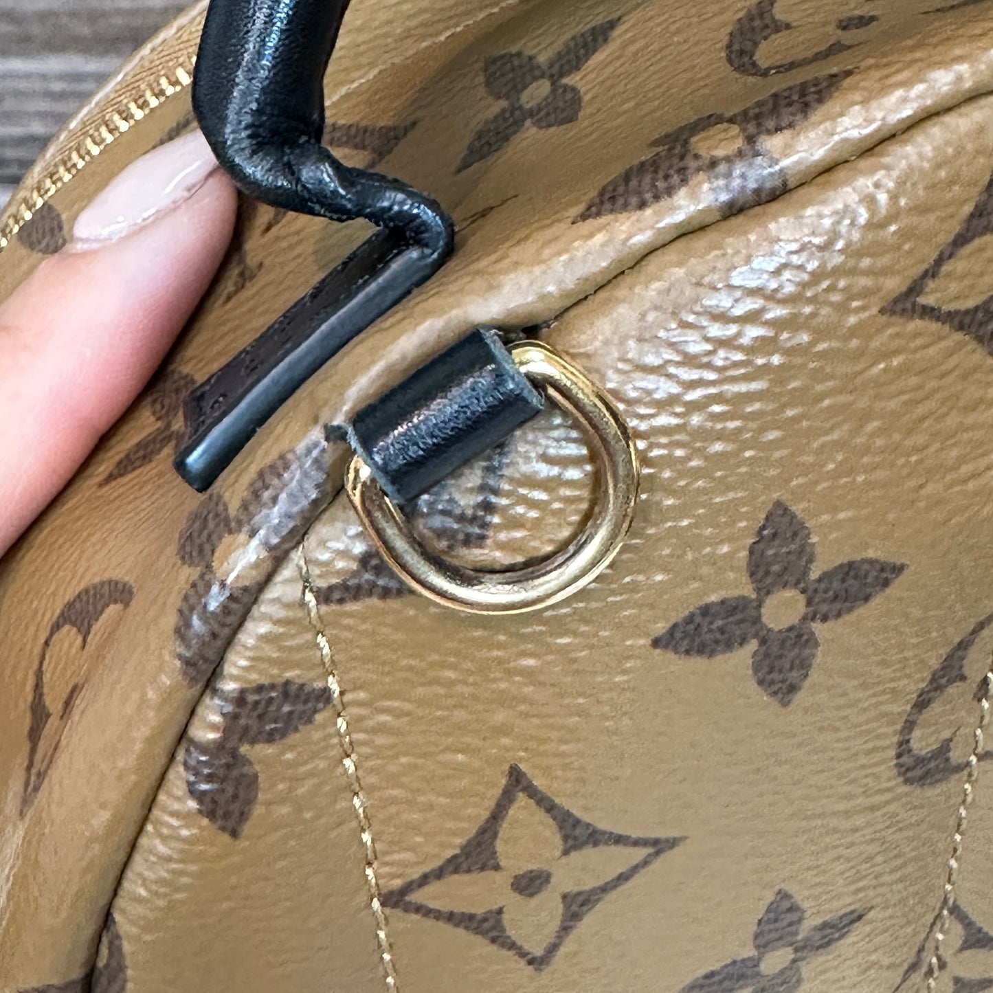 Louis Vuitton Reverse Palm Springs Mini