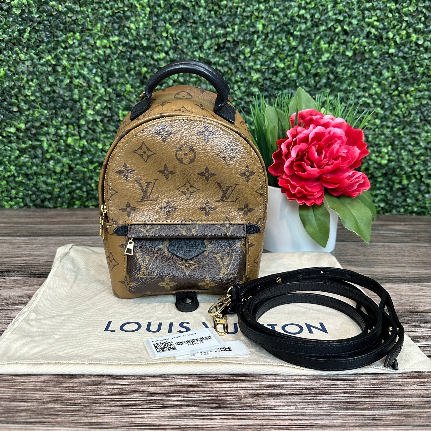 Louis Vuitton Reverse Palm Springs Mini