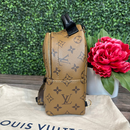 Louis Vuitton Reverse Palm Springs Mini