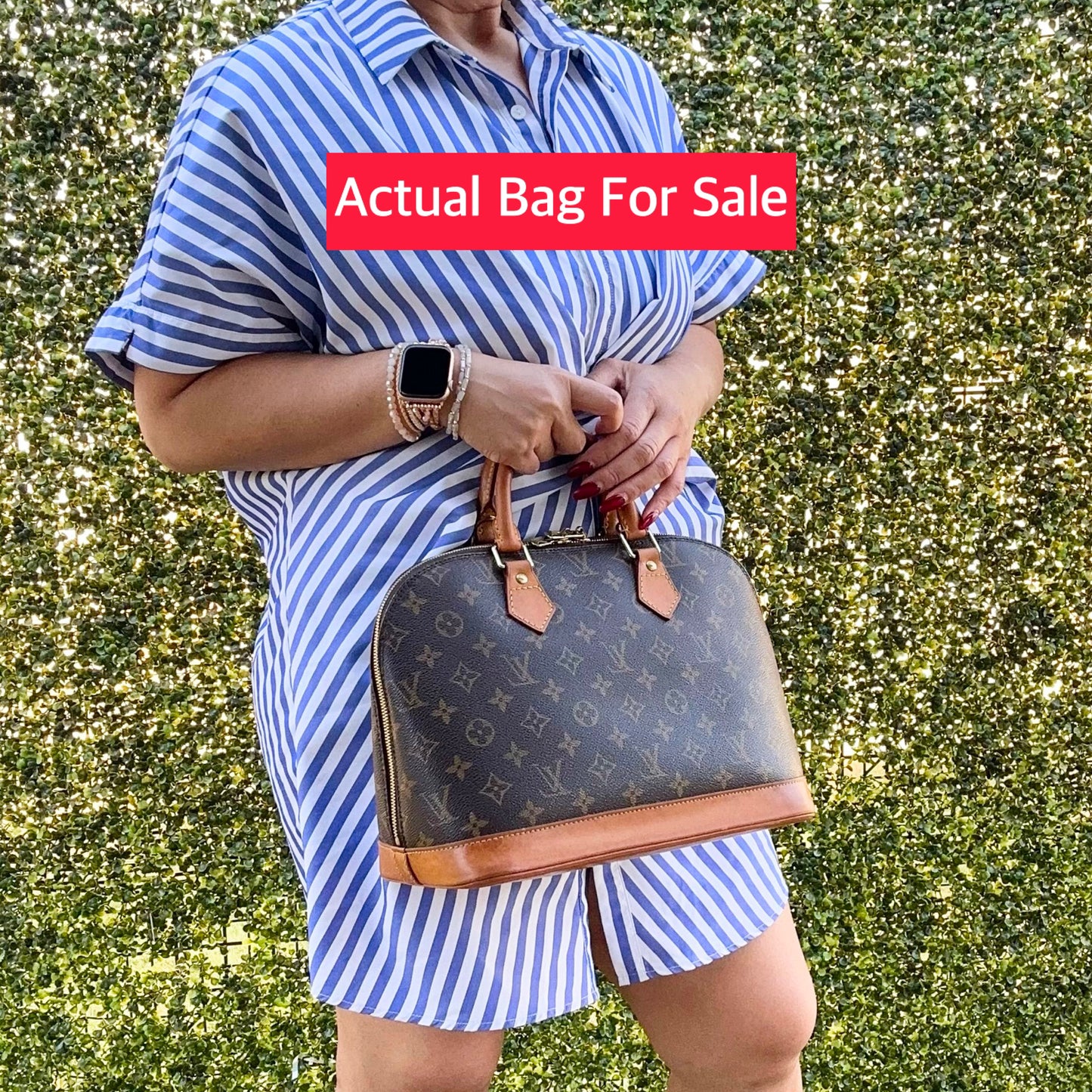 Louis Vuitton Monogram Canvas Alma PM Bag