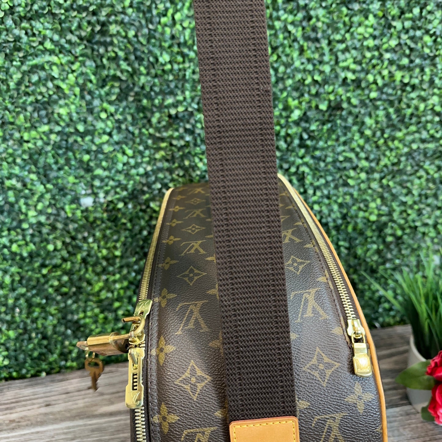 Louis Vuitton Monogram Packall PM