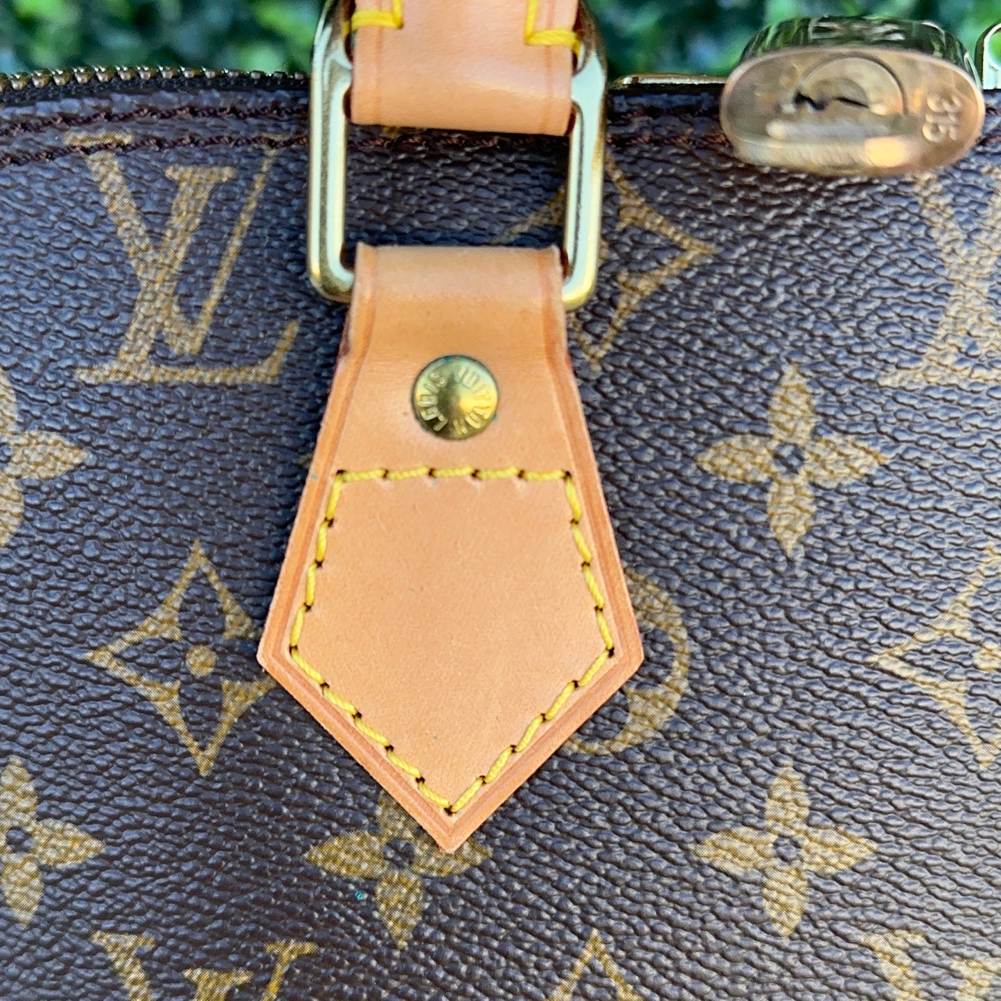 Louis Vuitton Alma PM Monogram