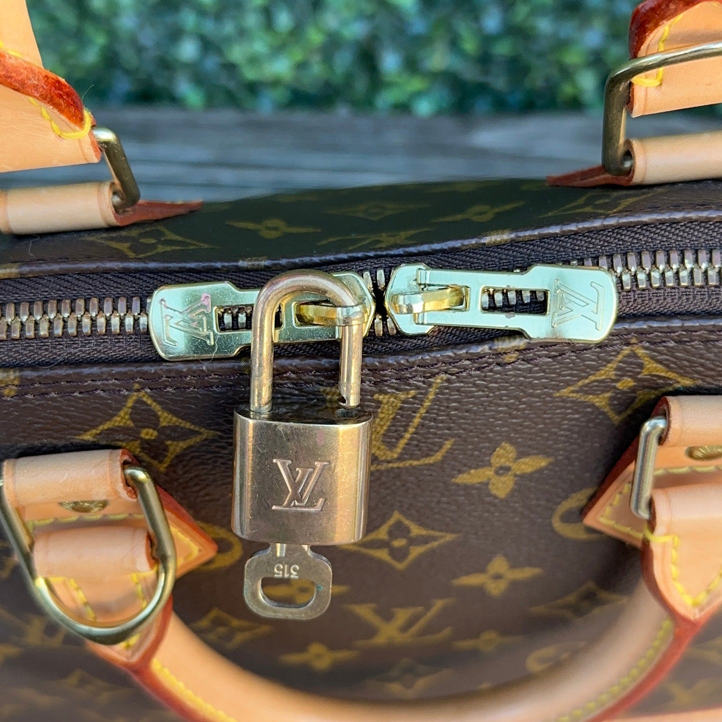 Louis Vuitton Alma PM Monogram