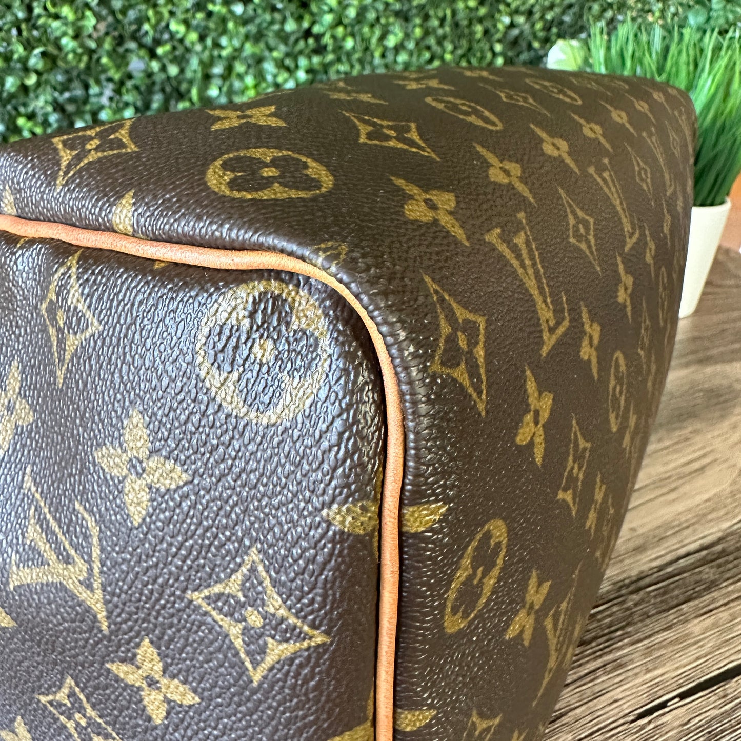 LOUIS VUITTON Speedy 30 Monogram Canvas