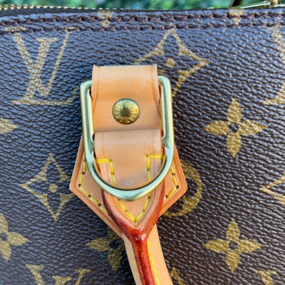 Louis Vuitton Alma PM Monogram