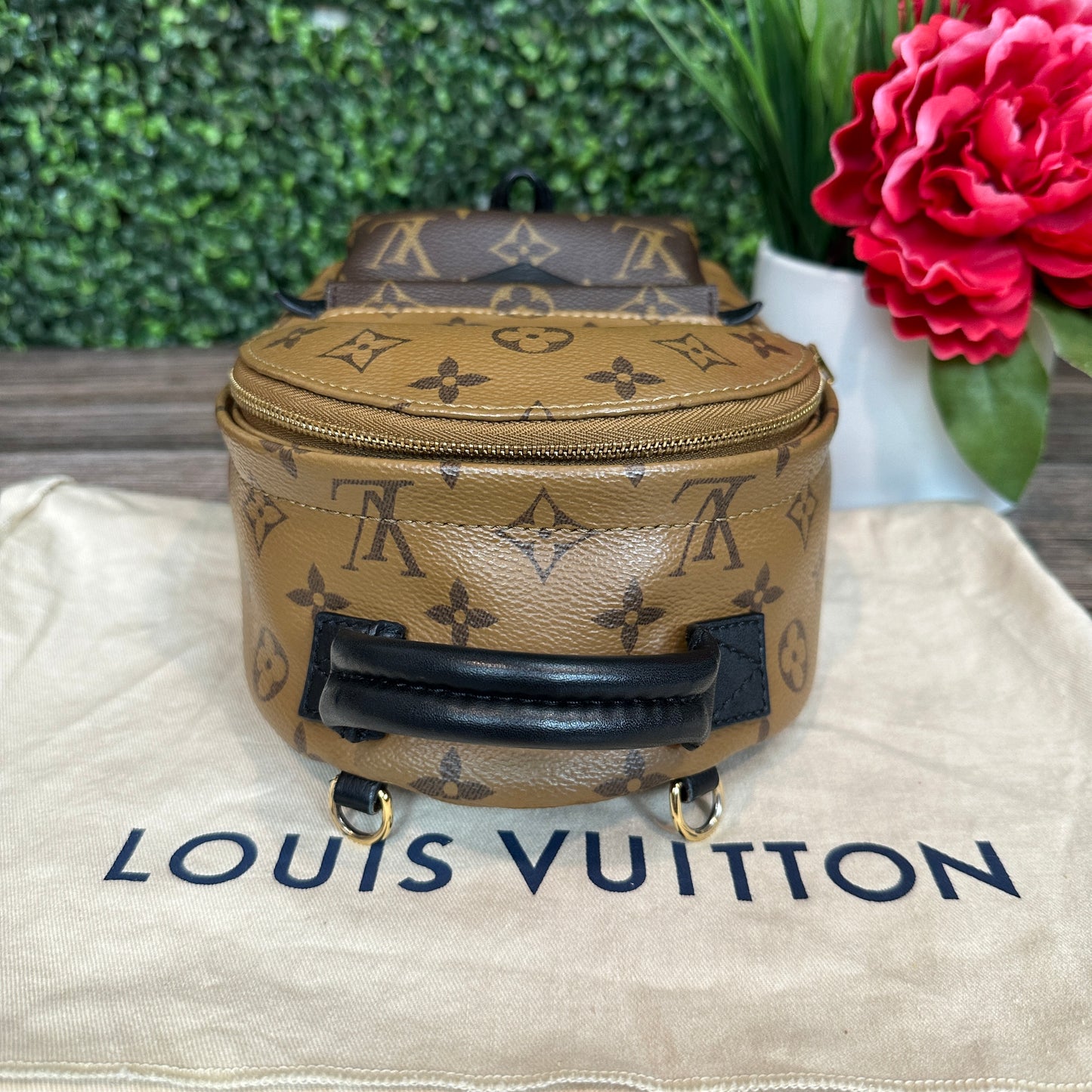 Louis Vuitton Reverse Palm Springs Mini