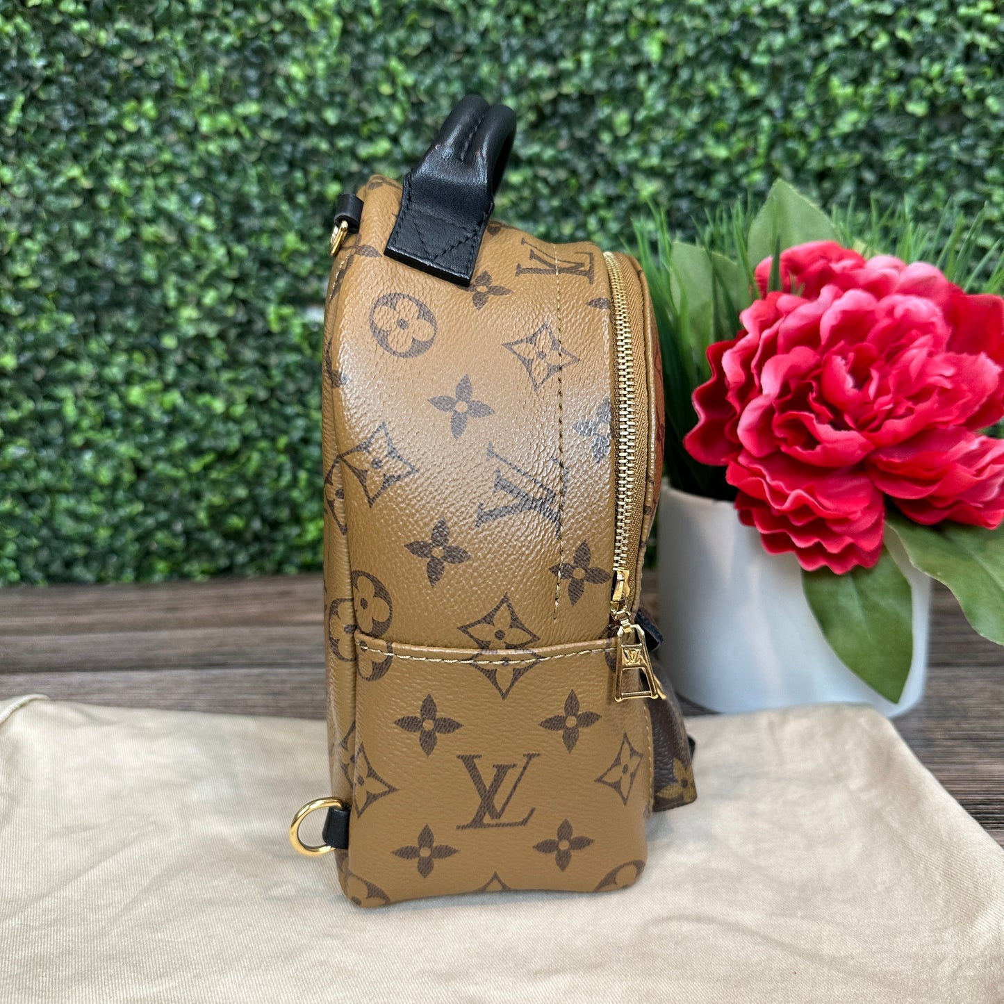 Louis Vuitton Reverse Palm Springs Mini