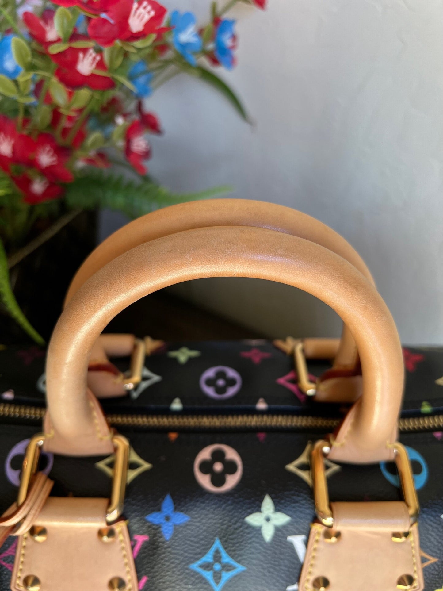 Limited Edition Murakami Multicolor Noir Speedy 30