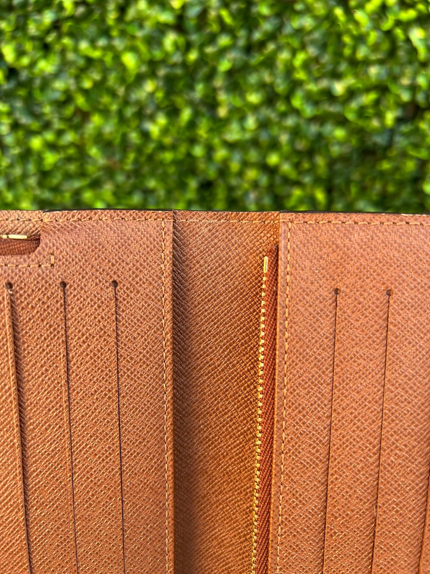 Insolite Monogram Canvs Brown Wallet