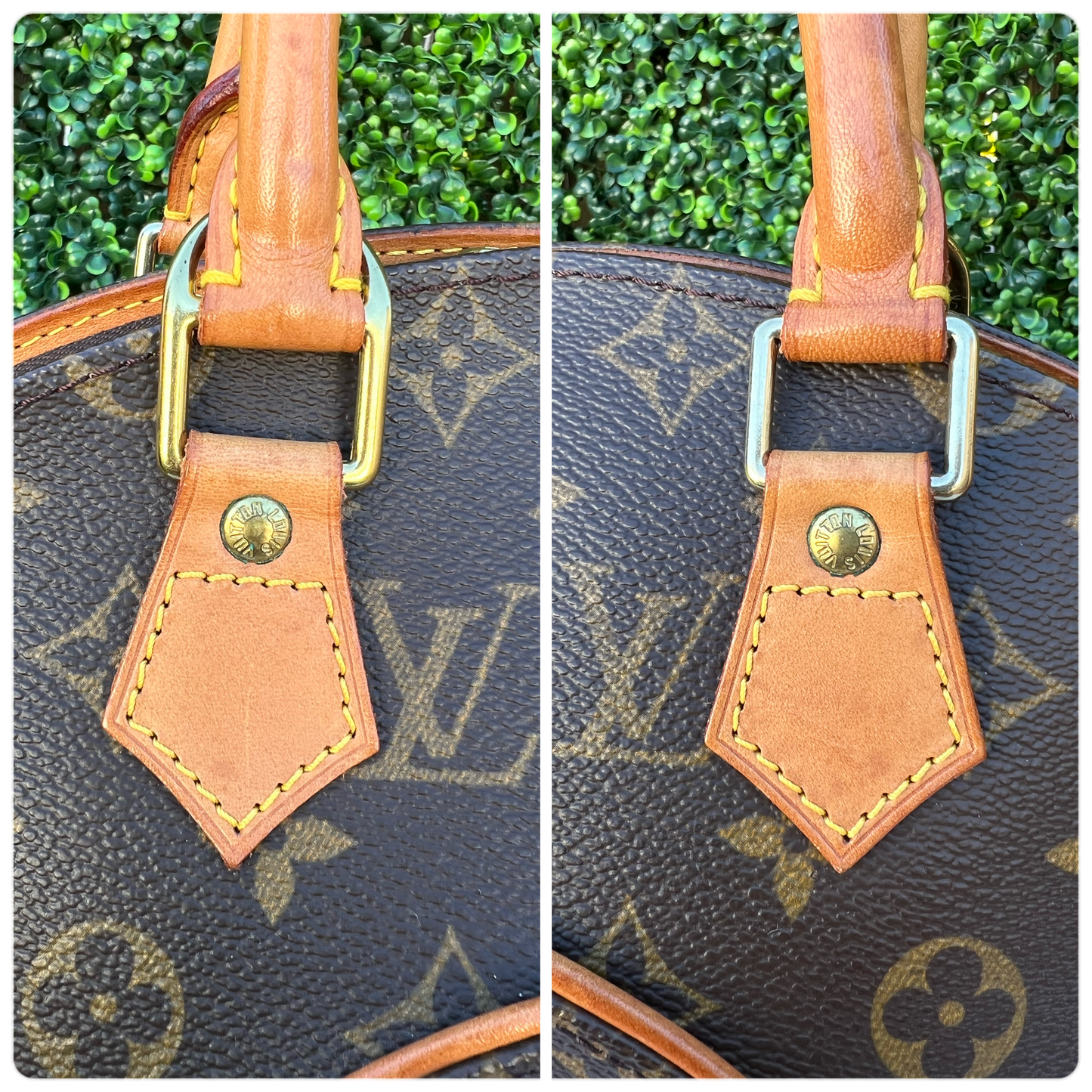 Ellipse MM Monogram Canvas