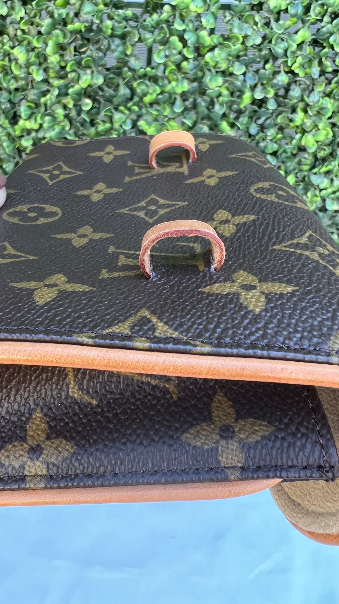 Florentine Pochette Bag Monogram Canvas