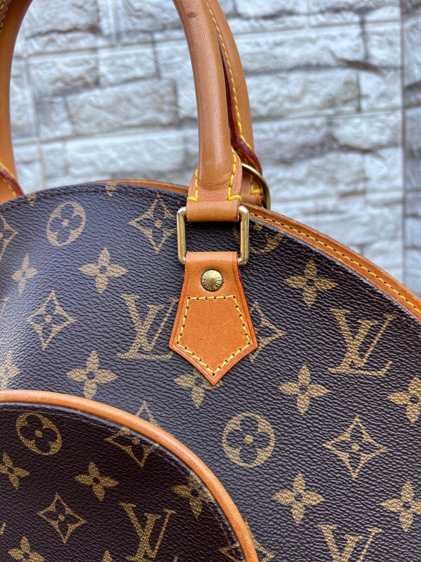 Ellipse MM Monogram Canvas