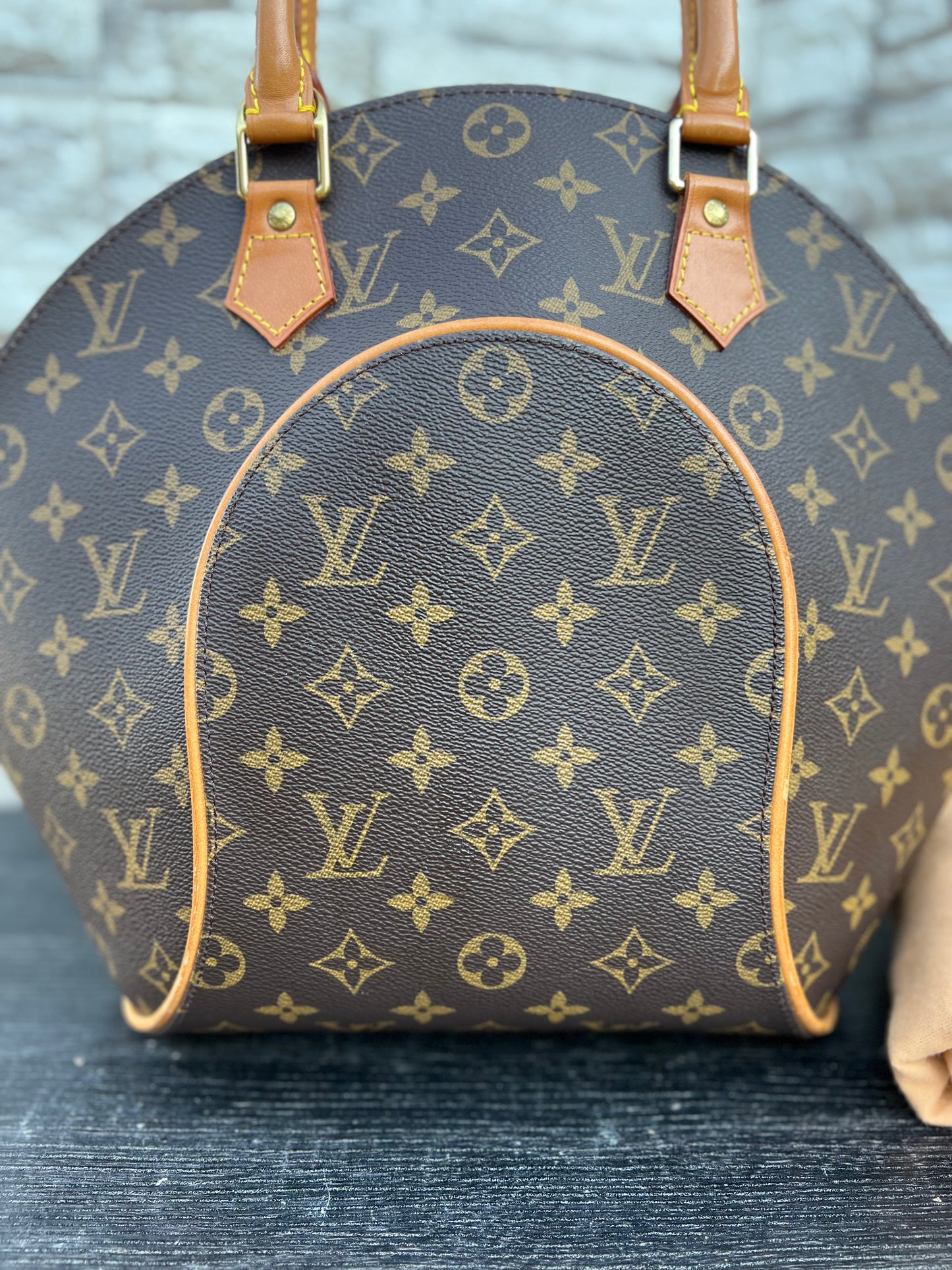 Ellipse MM Monogram Canvas