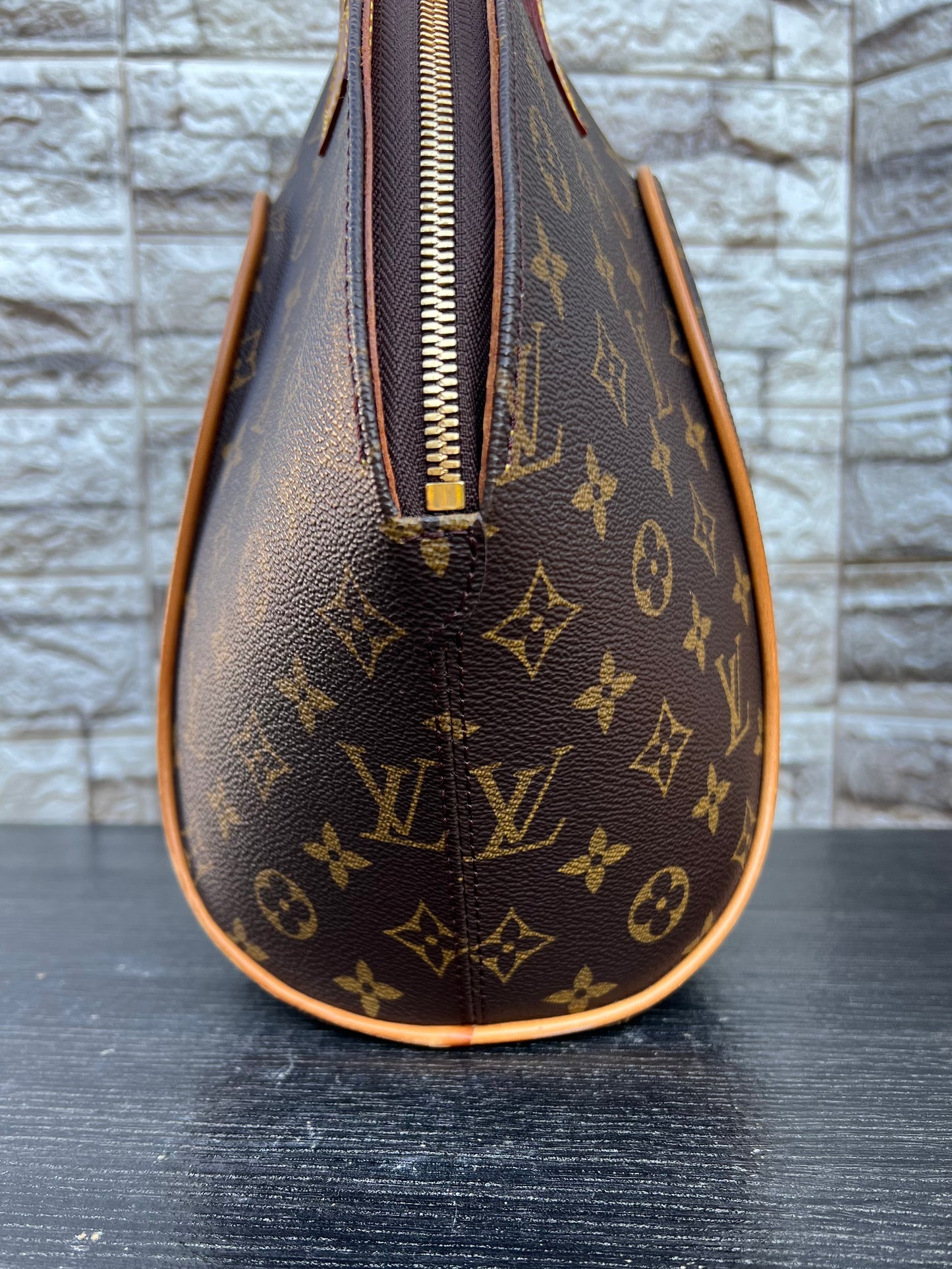 Ellipse MM Monogram Canvas