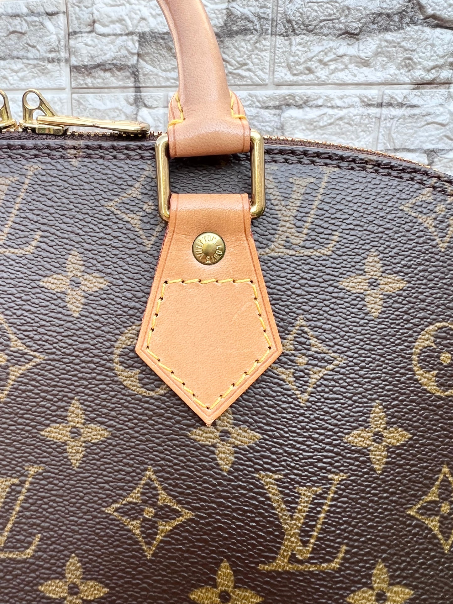 Alma PM Monogram Canvas