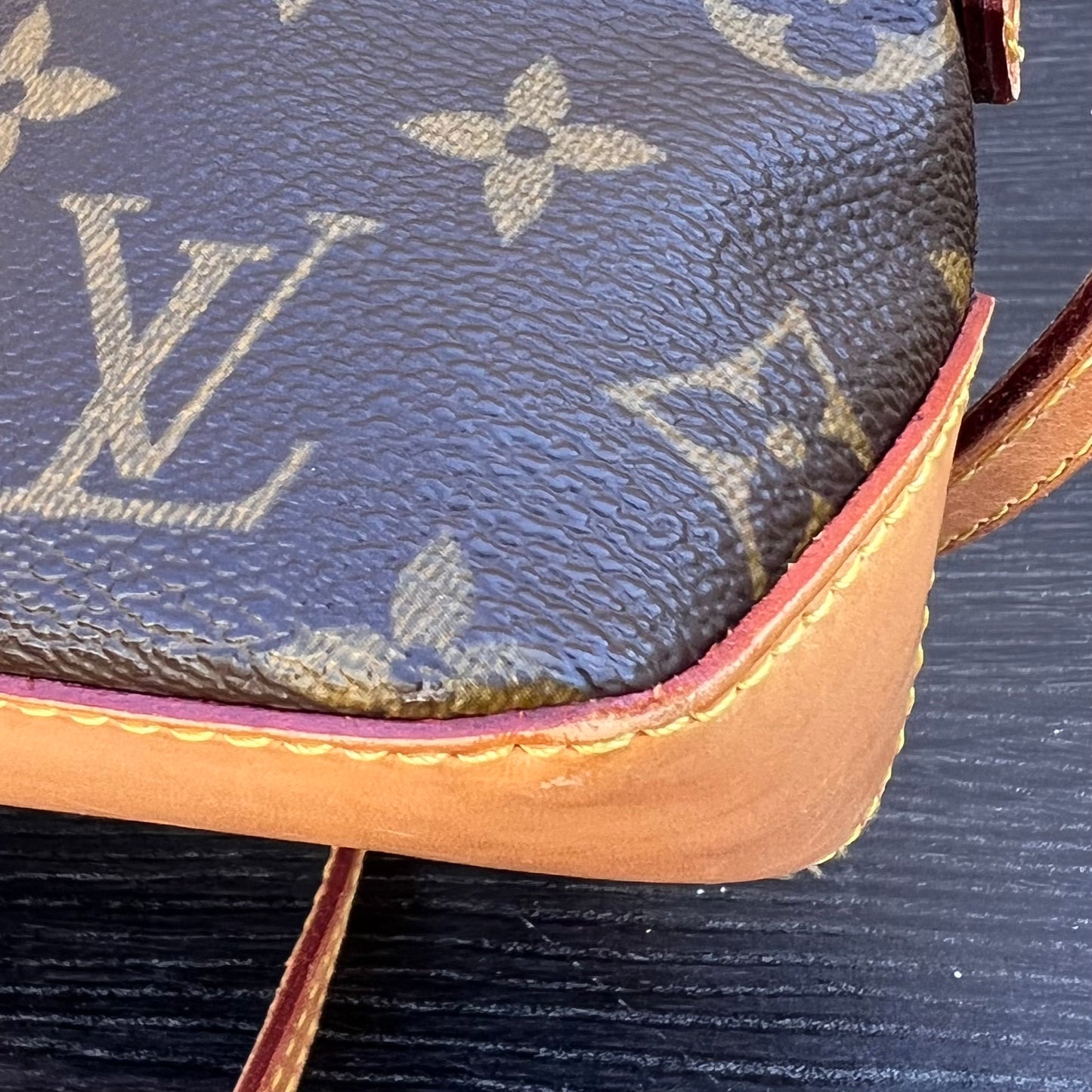 Trotteur Monogram Bag