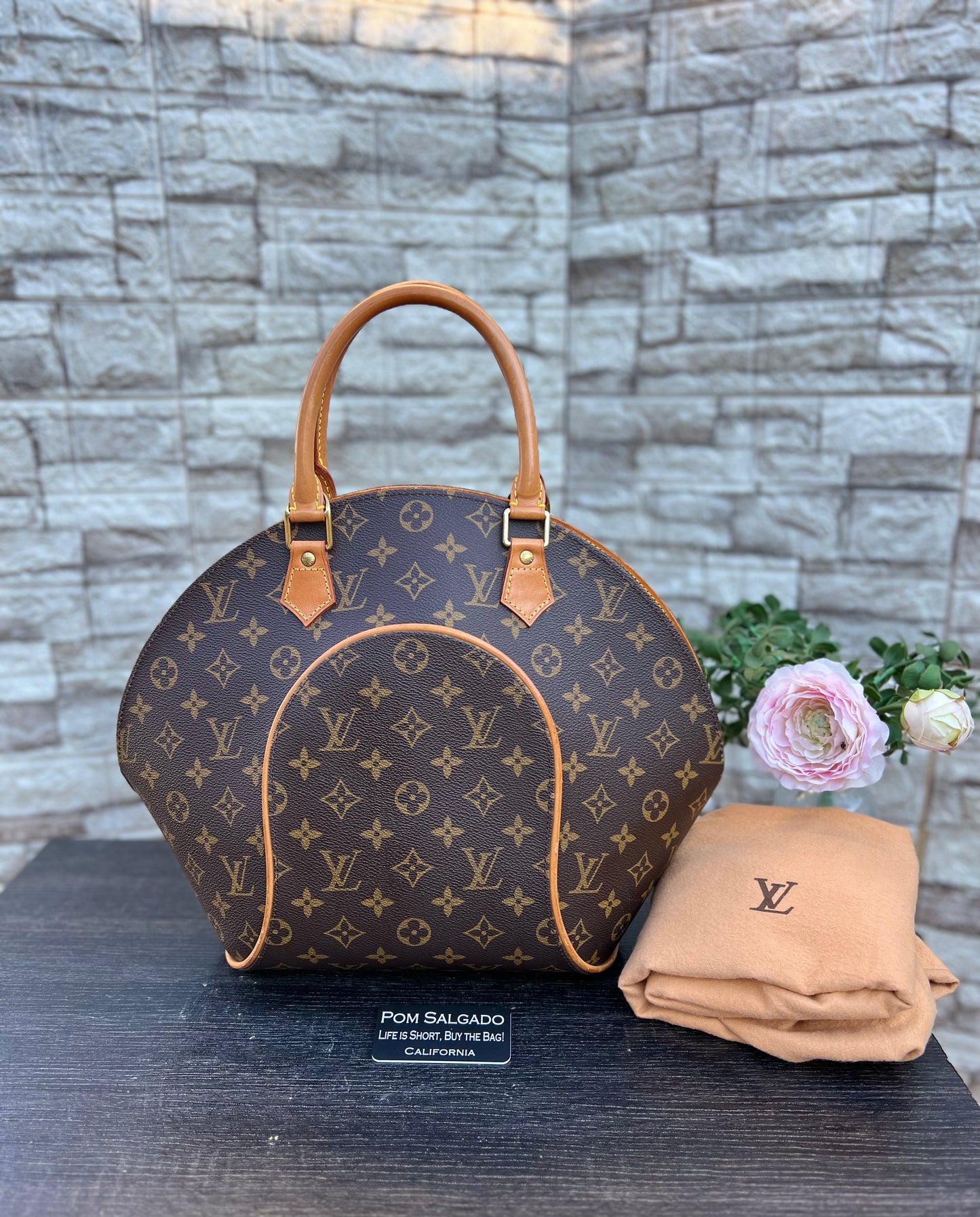 Ellipse MM Monogram Canvas