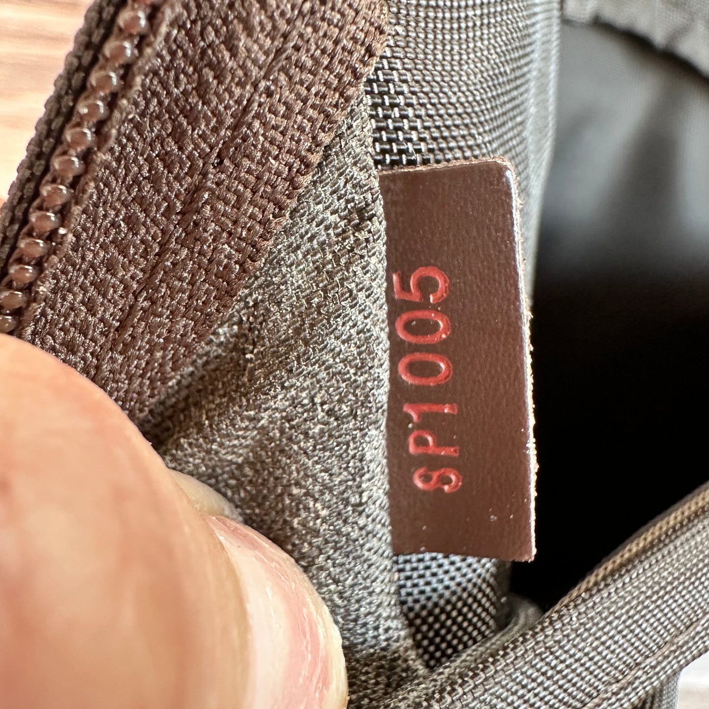 Pegase 45 Damier Ebene Rolling Suitcase