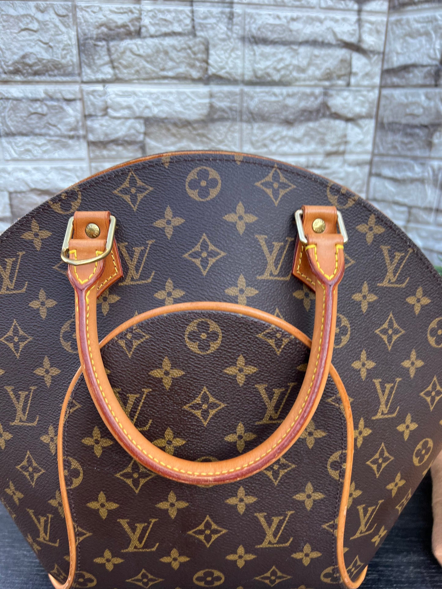 Ellipse MM Monogram Canvas