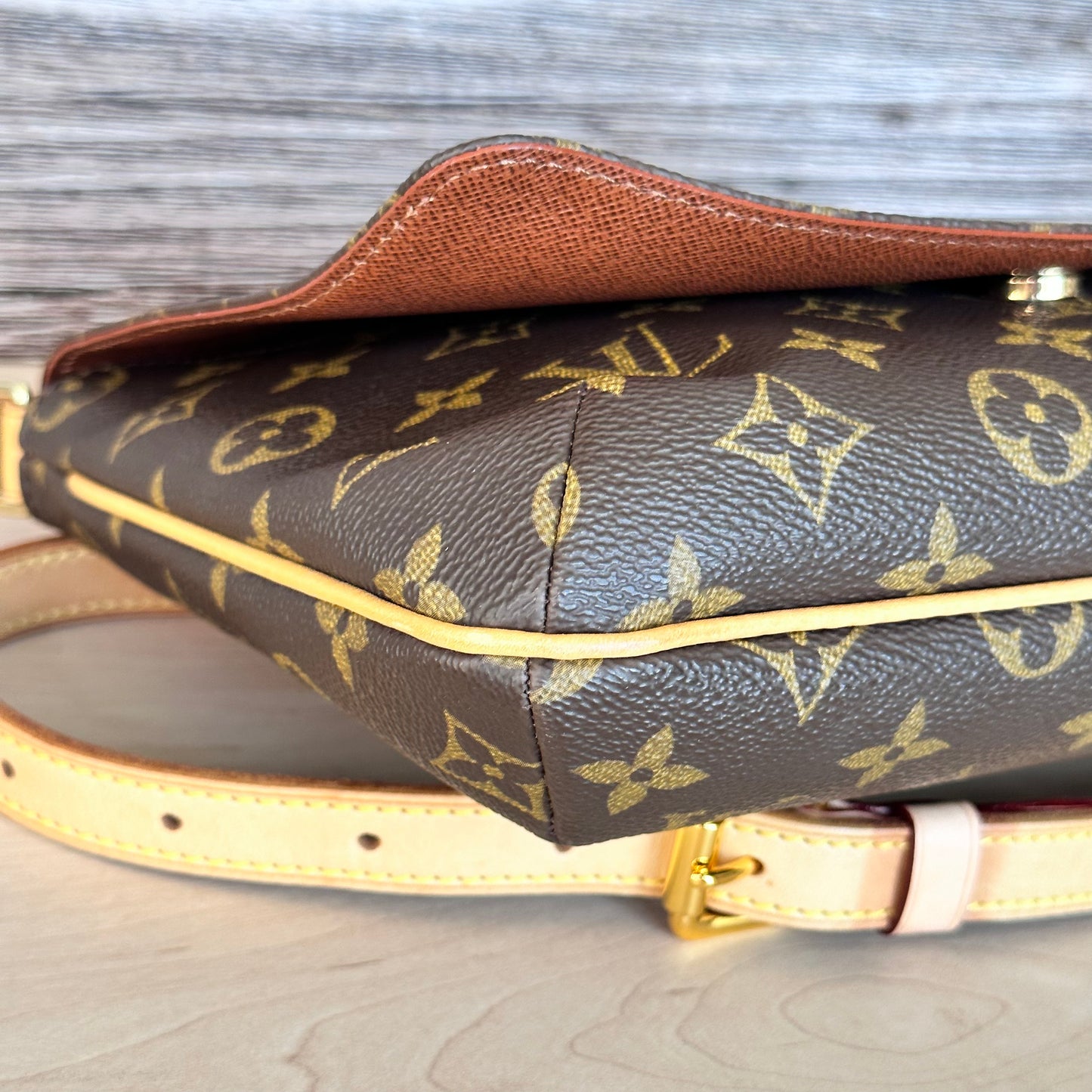 Musette Tango Monogram Canvas