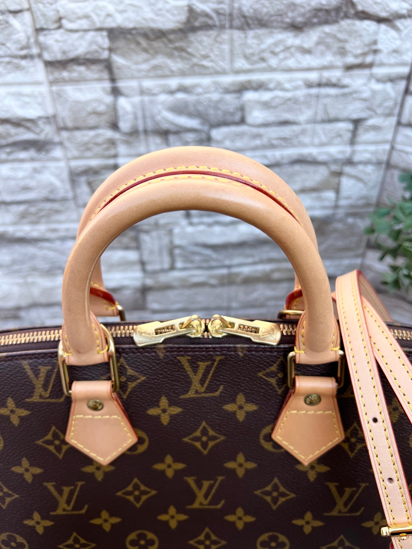 Alma PM Monogram Canvas