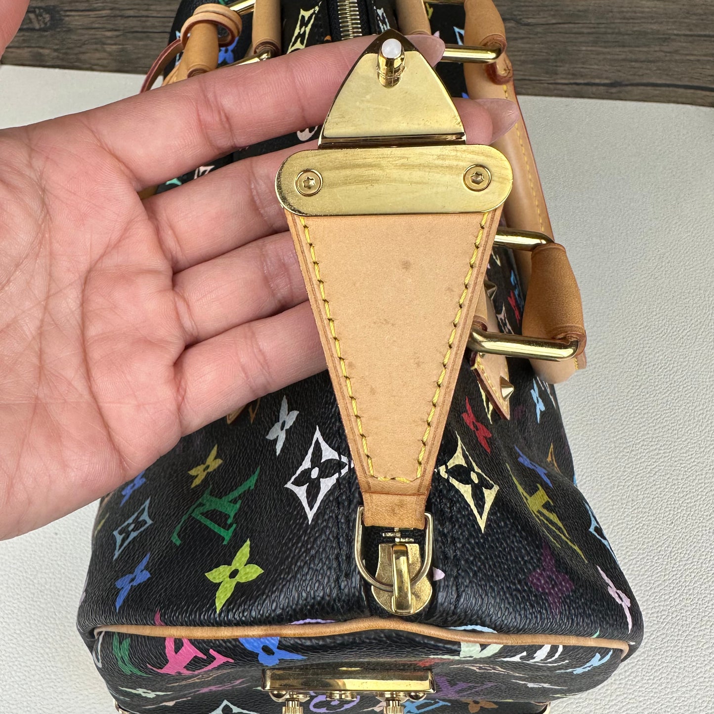 Limited Edition Black Multicolor Speedy 30