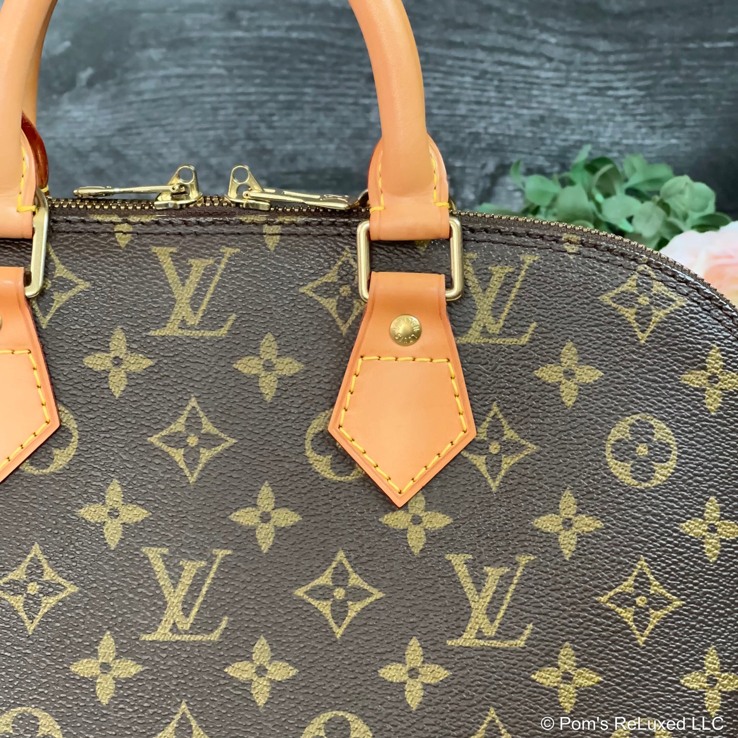 Alma PM Monogram Canvas