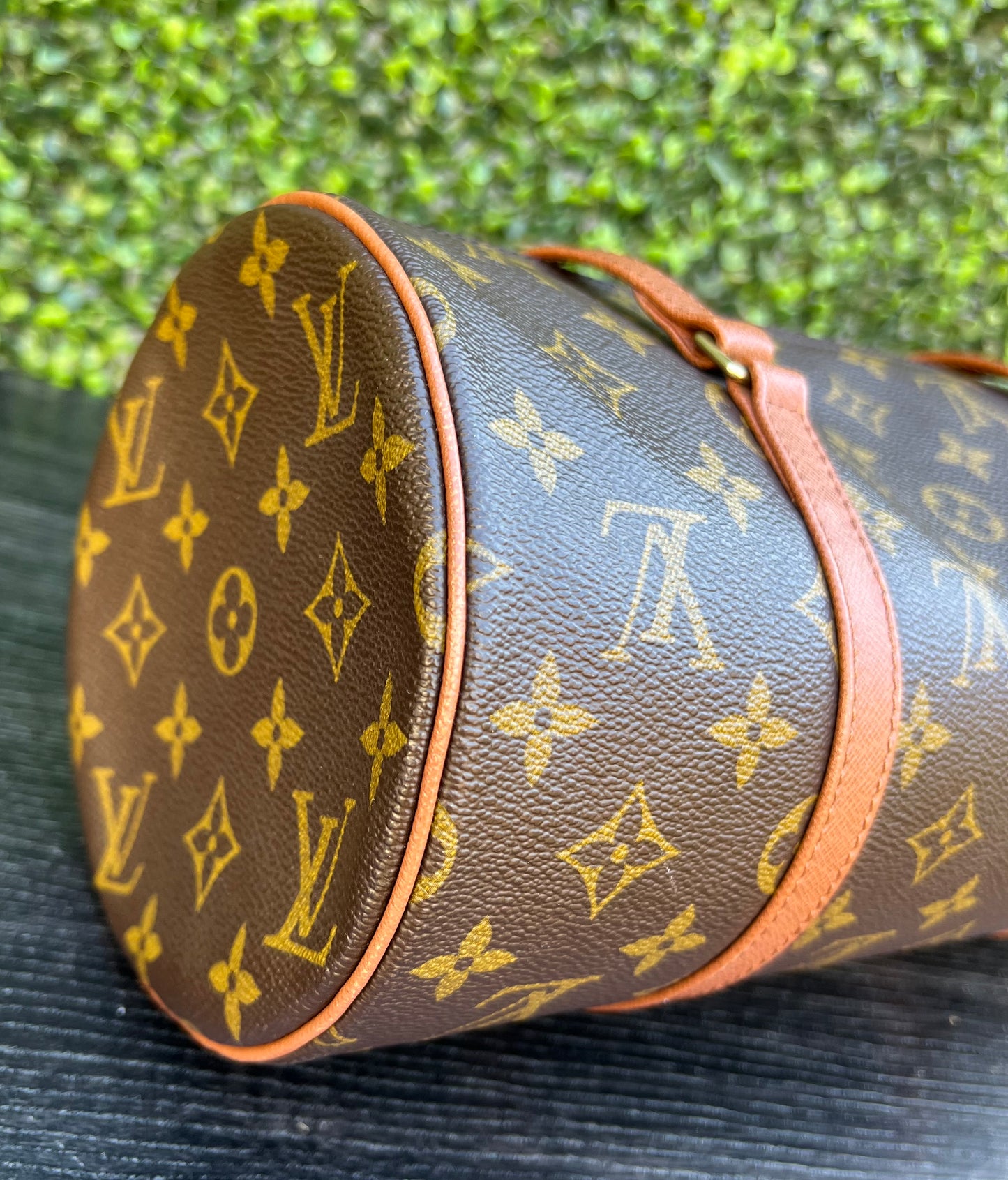 Papillon 30 Bag Monogram