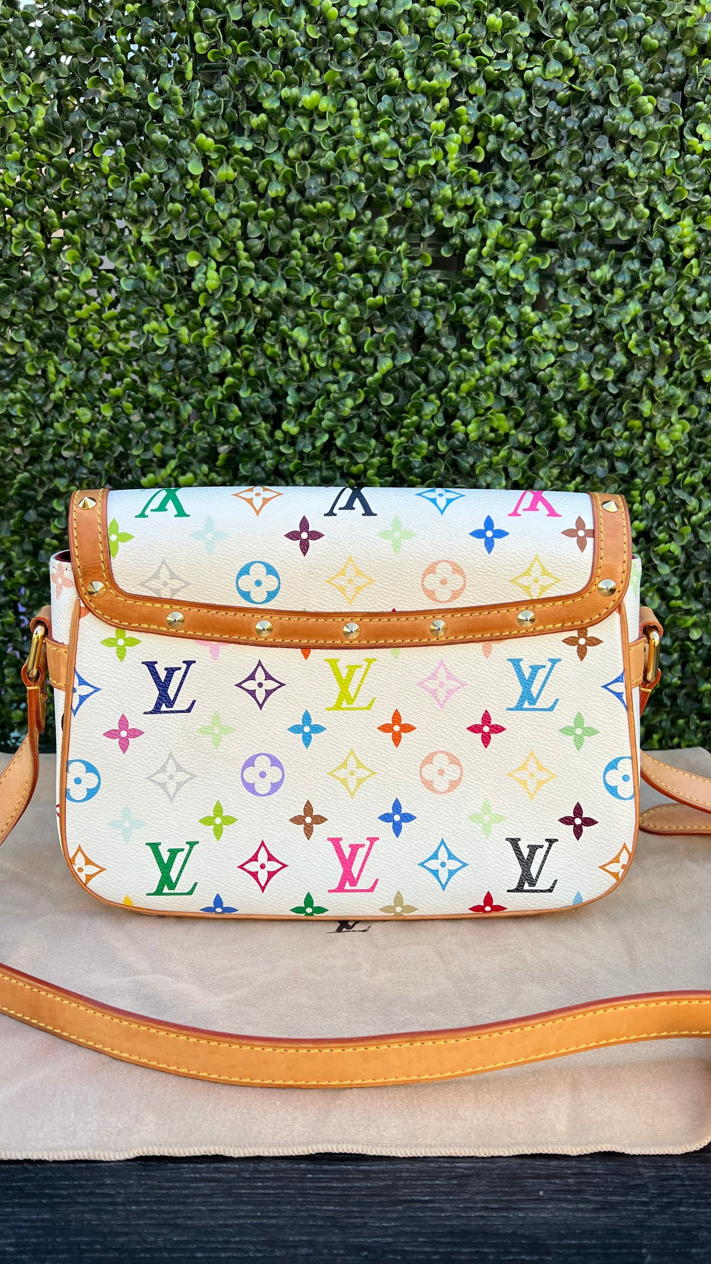 Limited Edition Murakimi White Multicolore Sologne Crossbody Bag